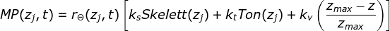 \fn_jvn MP(z_{j},t)=r_{\Theta }(z_{j},t)\left [ k_{s}Skelett(z_{j})+k_{t}Ton(z_{j})+k_{v}\left ( \frac{z_{max}-z}{z_{max}} \right ) \right ]